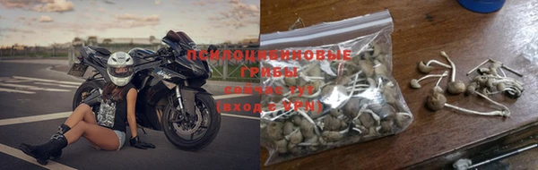 индика Абаза