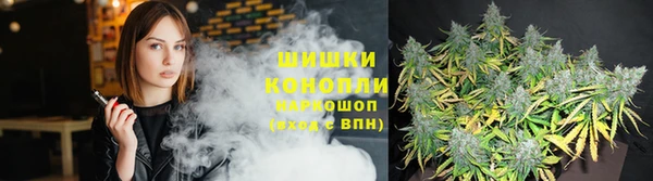 дурь Алексин