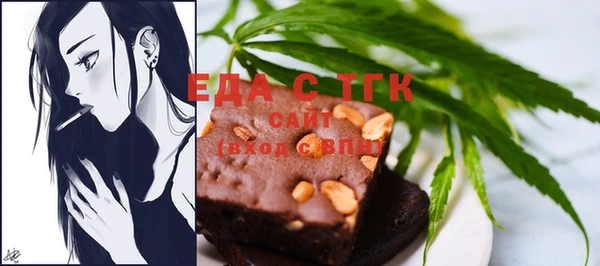 индика Абаза