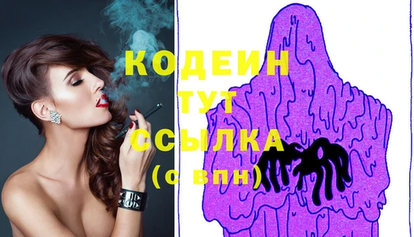 дурь Алексин