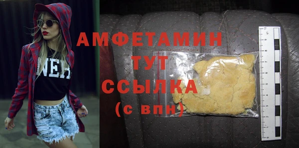 индика Абаза