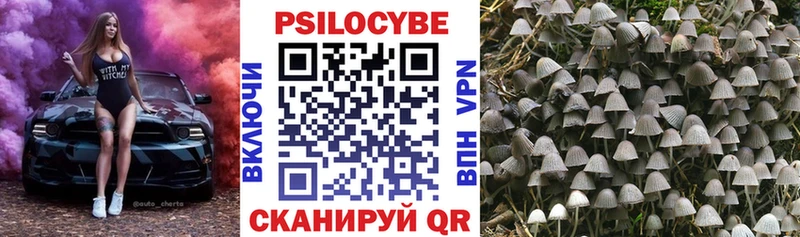 Галлюциногенные грибы Psilocybine cubensis  Троицк 